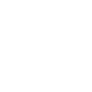 White Dell logo featuring the word “DELL” in bold uppercase letters inside a circular outline, with the “E” tilted at an angle, set on a transparent background.