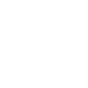 White Lids logo in bold sans-serif font on a transparent background.