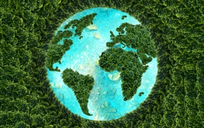 How does your company dispose of electronics?